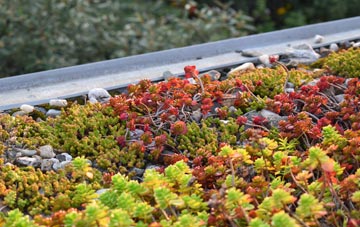 the cost of Binfield Heath green roof installation