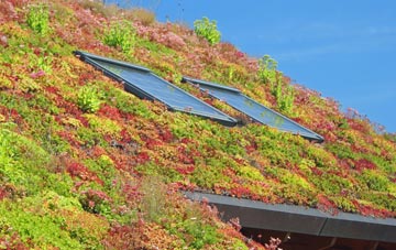Binfield Heath living roof systems