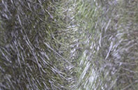 Binfield Heath fibreglass roof work